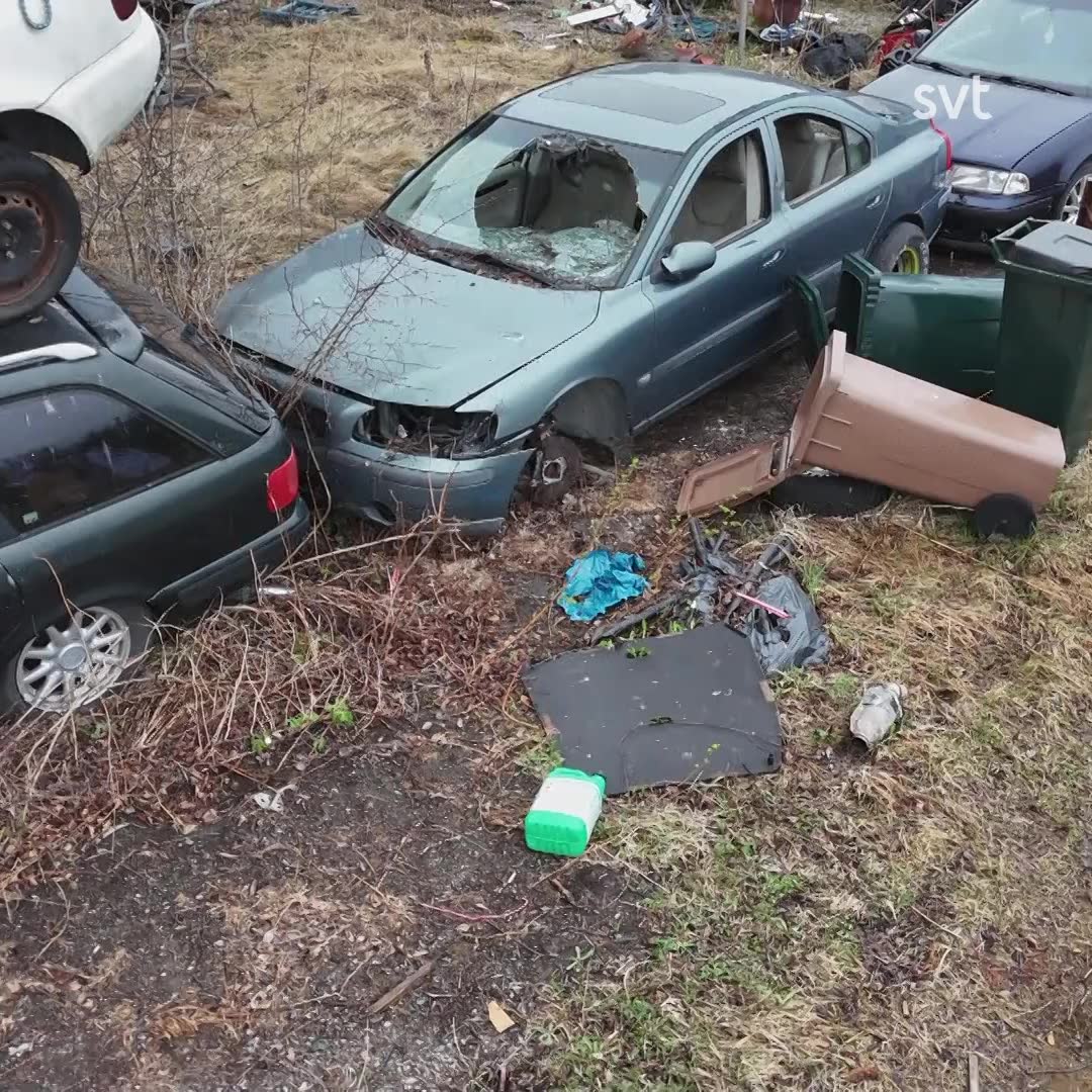 Hör ägarens reaktion på stökiga tomten